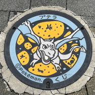 ポケモンで地域の魅力を発信する「ポケモンローカルActs」って知ってる？透過風の足で話題になった岩手県応援ポケモン・イシツブテの地域活動を通じて「ポケモン」の影響力を見てみよう【特集】