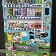 ポケモンで地域の魅力を発信する「ポケモンローカルActs」って知ってる？透過風の足で話題になった岩手県応援ポケモン・イシツブテの地域活動を通じて「ポケモン」の影響力を見てみよう【特集】