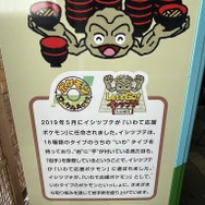 ポケモンで地域の魅力を発信する「ポケモンローカルActs」って知ってる？透過風の足で話題になった岩手県応援ポケモン・イシツブテの地域活動を通じて「ポケモン」の影響力を見てみよう【特集】