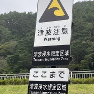 ポケモンで地域の魅力を発信する「ポケモンローカルActs」って知ってる？透過風の足で話題になった岩手県応援ポケモン・イシツブテの地域活動を通じて「ポケモン」の影響力を見てみよう【特集】