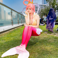 しらほし「ONE PIECE」／erin（X：@erin7077）