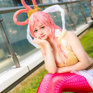 しらほし「ONE PIECE」／erin（X：@erin7077）