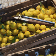 「gamescom 2024」は120ヶ国から33万人以上が来場！嬉しい発表盛りだくさんのOpening Night Liveも再生数爆増