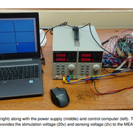 スライムだってゲームが遊べる！？英国大学の研究チームがスライムで作った“疑似脳”実験結果を発表