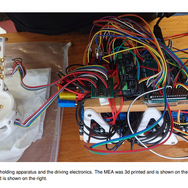 スライムだってゲームが遊べる！？英国大学の研究チームがスライムで作った“疑似脳”実験結果を発表
