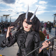 クロ(レモン)／けぇこ（X：@keekoriiin）、シロ（ライム）、撮影：マサ（X：@mojo37046127）