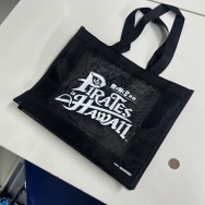 TGSでもらえる「あのでけえバッグ」こと、ショッパーをかき集めてレビュー！パーフェクトキュートなデザインから、えっちなものが何ひとつ隠せないショッパーまで今年もアツい！【TGS2024】