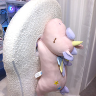 40周年が紡いだ縁！『モンハン』ルームを展示するニトリにコラボの経緯を聞いてみた【TGS2024】