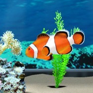 ブルーオアシス～未知なる深海～