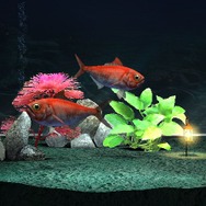 ブルーオアシス～未知なる深海～