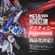 L ROBOT魂 ストフリ デスティニー ［Re:Coordinate］ とろ＋ひまつぶし | METAL ROBOT魂[SIDE MS]：デスティニー
