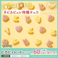 ★激レア★ピュレグミ×ピカチュウ　アクキー 1507986.jpg