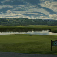 タイガー・ウッズ PGA TOUR 11(英語版)