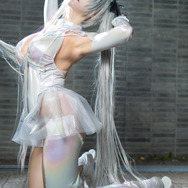 シンデレラ『勝利の女神：NIKKE』／ひよっこ（X：@nakukotogadekin）