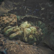 『モンハンワイルズ』はモンスターの死体が時間経過で腐ったり、「骨」になる…生気が失われたように死後変色、環境生物が掃除をして自然に還る