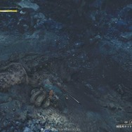 『モンハンワイルズ』はモンスターの死体が時間経過で腐ったり、「骨」になる…生気が失われたように死後変色、環境生物が掃除をして自然に還る