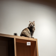 米ITエンジニア夫妻が約1億5,000万円をかけて「LANパーティハウス」を建築…その驚きの「中身」とは