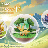 ポケモンテラリウム　14個セット ポケットモンスター テラリウムコレクション14 6個入りBOX