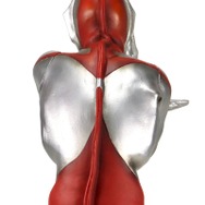 スペシウム光線！初代「ウルトラマン」より美しき「Bタイプ」スーツの1/6スケールフィギュアが復刻―目やタイマーの発光ギミックも搭載