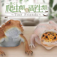一番くじ　爬虫類＆両生類　B賞  ヒョウモントカゲモドキ　フィギア 一番くじ 爬虫類＆両生類 B賞 ヒョウモントカゲモドキ