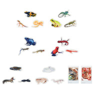 めっちゃリアルな「一番くじ 爬虫類＆両生類～Tiny Friends～」再販！アメフクラガエルの“お尻”がプリティ