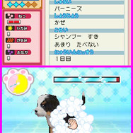 わんニャンどうぶつ病院