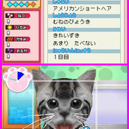 わんニャンどうぶつ病院