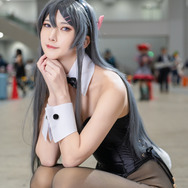 桜島麻衣「青春ブタ野郎シリーズ」／雨下（X：@amashita429）