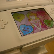 Touch!Try!DSで触ることができました