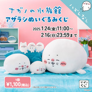 ちいかわ - 明日まで　ナガノの水族館　ナガノ水族館　アザラシぬいぐるみくじ A賞 ちいかわ」原作・ナガノ先生の「アザラシ」が豪華くじに！A賞の