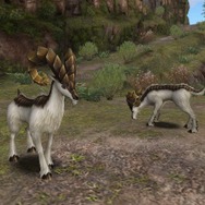 モンスターハンター フロンティア オンライン