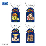 懐かしい…『スト2』春麗たちの技とコマンドがキーホルダーに！『ストリートファイター』シリーズの歴代ロゴステッカーや『スト6』グッズがDAISOにて販売中