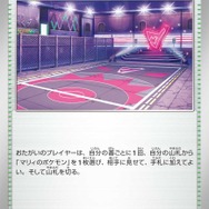 『ポケカ』新スターターセットexで「マリィ」「ダイゴ」のポケモンが登場！“フルイラストカード”も収録の豪華セット発売決定