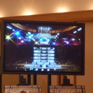 『UFC Undisputed 2010』記者会見レポート、ユークス社長「ゲームメディアを通じてUFCを応援する」