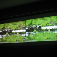 【CEDEC2007】「DS、Wii向けゲーム開発者のための18の秘技」を披露―CRI・ミドルウェア