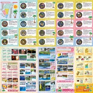 『ポケモン』ナッシーがやってくる！「新宿みやざき館KONNE」にて2月8日・9日よりイベント開催ーグリーティングや「宮崎ガチャ」など盛り沢山