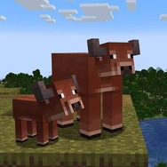 『マインクラフト』次回アプデで牛のバリエーションや蛍が飛ぶ低木などが追加！ スナップショットなどで体験可能
