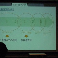 【CEDEC 2010】チューニングからユーザーサポートまで~ワンストップサービスを目指すポールトゥウィン