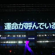 「ALGS Year 4 Championship」現地レポート