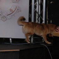 ルー大柴が柴犬のシヴ犬とトゥゲザーしようぜ！？ハプニングだらけで爆笑に包まれた『シドマイヤーズ シヴィライゼーション VII』発売記念イベントレポ