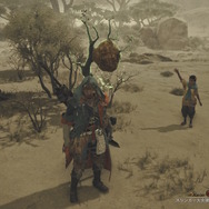 『モンハンワイルズ』製品版プレイレビュー!バッサバッサ斬れる太刀に「納刀術」もいい感じ―ストーリー体験は過去作と全くの別物