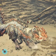ソロでも『モンハンワイルズ』は楽しめるの? 戦力面も大丈夫? そんな“ぼっち勢”に届けたい、ハンティングACTの最新事情