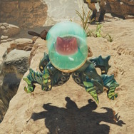 『モンハンワイルズ』のあるオトモアイルー装備、絵面がヤバいと話題に―触手ウネウネ、脳みそふよふよな冒涜的スタイル