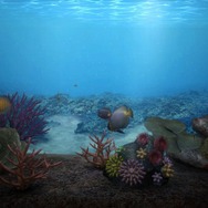 ブルーオアシス~魚の癒し空間~