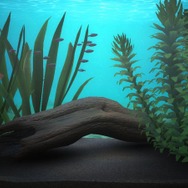 ブルーオアシス~魚の癒し空間~