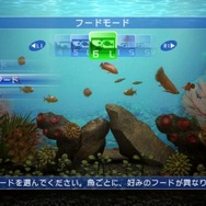 ブルーオアシス~魚の癒し空間~