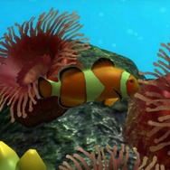 ブルーオアシス~魚の癒し空間~