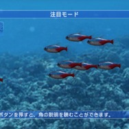 ブルーオアシス~魚の癒し空間~