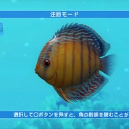 ブルーオアシス~魚の癒し空間~