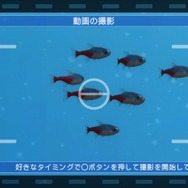 ブルーオアシス~魚の癒し空間~